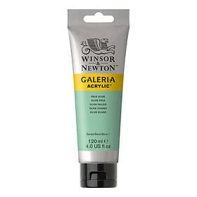 Winsor & Newton Galeria Akrylfärg Pale Olive 435 120ml
