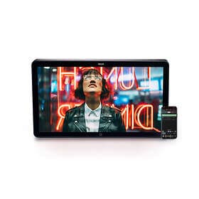 Atomos Neon 17"