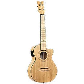 Ortega Concert ukulele RUNAB-TE