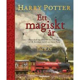 Harry Potter- Ett Magiskt År