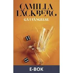 Gå i fängelse (E-bok)