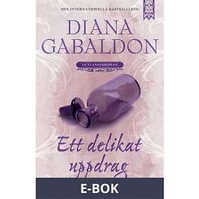 Ett delikat uppdrag (E-bok)