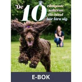 De 10 viktigaste sakerna din hund bör lära sig (E-bok)