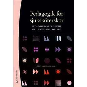 Pedagogik för sjuksköterskor : pedagogiska perspektiv och handledning