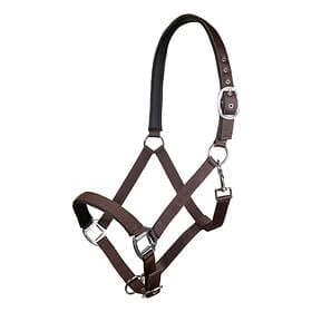 HKM Grimma Charming Cob