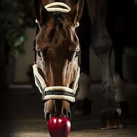 Equiline Grimma Med Fårskinn Tom Full