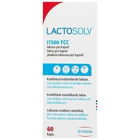 Lactosolv 60 Kapslar