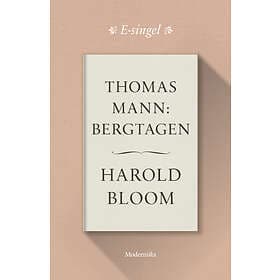 Modernista Thomas Mann: Bergtagen E-bok