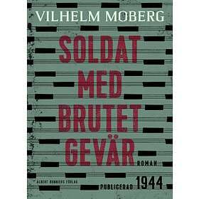 Soldat med brutet gevär E-bok