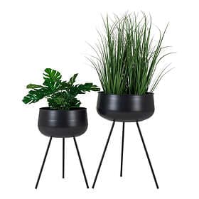 House Nordic Ardola 2-pack
