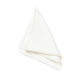 Solid Silk Evolution Off White Näsduk Siden