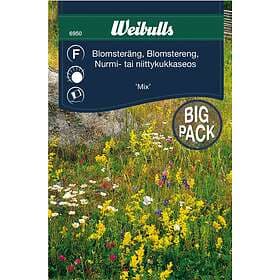 Weibulls Blomsterängsblandn Storp