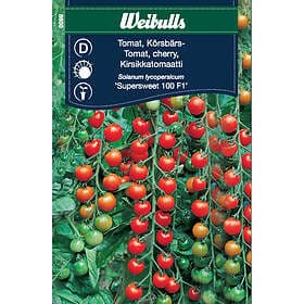 Weibulls Körsbärstomat 'Supersweet 100 F1'