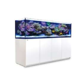 Red Sea Reefer 3XL 900