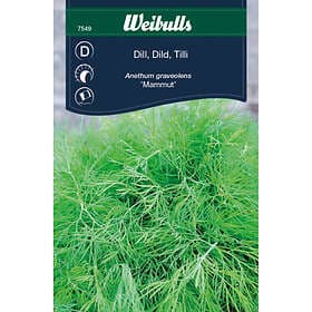 Weibulls Dill 'Mammut'