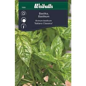 Weibulls Basilika 'Italiano Classico'