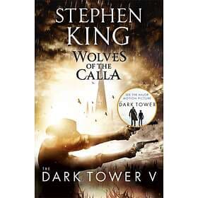 The Dark Tower V