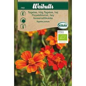 Weibulls Frö Tagetes hög KRAV