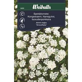 Weibulls Frö Spetsblomster