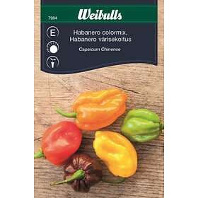 Weibulls Frö Chilipeppar Habanero Mix