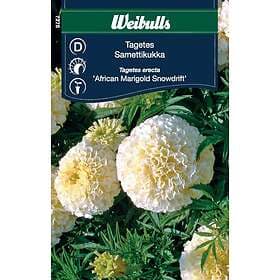 Weibulls Frö Tagetes Snowdrift Gul / Vit