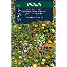 Weibulls Blomfrö Frö Rabattblommor Mix Låg
