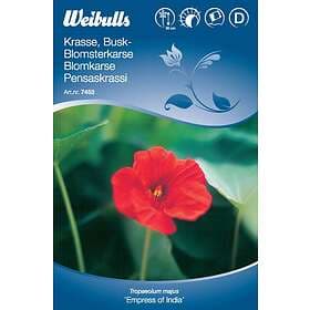 Weibulls Blomfrö Frö Krasse Mörkbladig Busk Röd