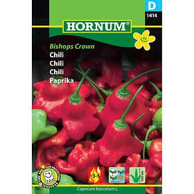 Hornum Chilipeppar, Bishops Crown