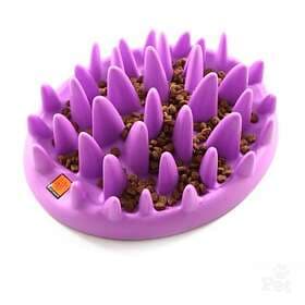 Northmate Catch Interactive Feeder 30x20x9cm