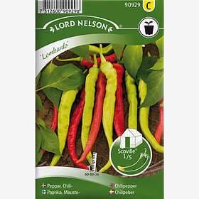 Nelson Garden Chilipeppar, Lombardo