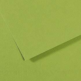 Canson Mi-teintes Färgat Papper A4 160g Apple Green