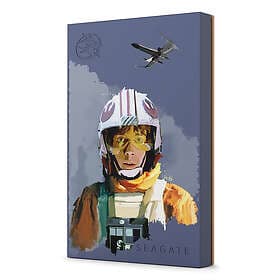 Seagate FireCuda Star Wars Luke Skywalker STKL2000412 USB 3.2 2TB