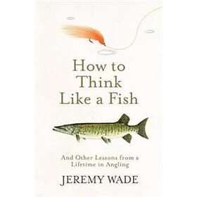 How to Think Like a Fish