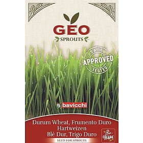 Bavicchi Geo Vetegräsfrö Organic Sprouting EKO Durum Wheat Seeds 80g