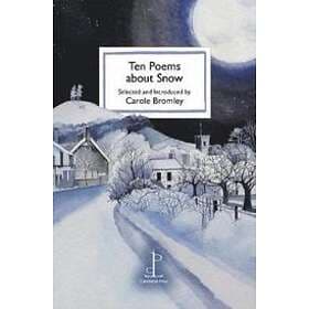 Ten Poems about Snow