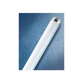 Osram LUMILUX T8 Lysrör 36W/840, ind