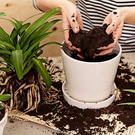 Hasselfors Garden Planteringsjord P-jord 15L / 15 liter