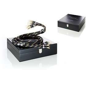 Vincent Cableline 2Spade - 2Spade (par) 2m