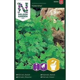 Nelson Garden Körvel Dansk Fijne Krul (Pgd)