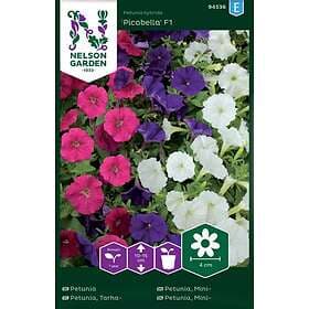 Nelson Garden Nelson garden Fröer Garden Petunia Picobella F1 Mini Blandade Färger