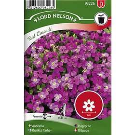 Nelson Garden Aubrietia 'Red Cascade' frö