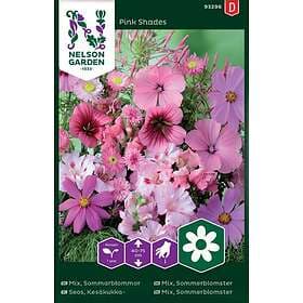 Nelson Garden Sommarblommor Rosa Mix