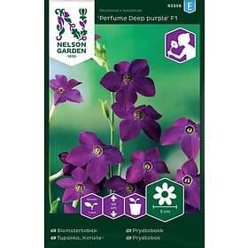 Nelson Garden Fröer Blomstertobak Perfume Deep Purple F1