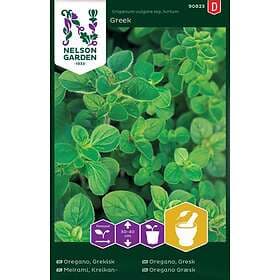 Nelson Garden Fröer Grekisk oregano