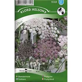 Nelson Garden Blomstermorot 'Dara' frö