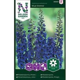 Nelson Garden Riddarsporre Lord Prakt-Blue Donna