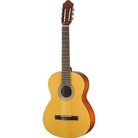 Walden Standard N350
