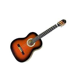 Eko Guitars Student CS 10