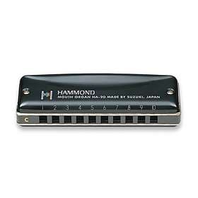 Suzuki Professional Promaster Hammond (G)