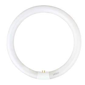 EGLO 12405 Fluorescent G10q 32W